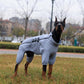 Dog Coat 4 Legs Covered Windproof Waterproof Dog Winter Jacket-Grey