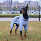 Dog Coat 4 Legs Covered Windproof Waterproof Dog Winter Jacket-Grey