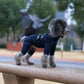 Dog Coat 4 Legs Covered Windproof Waterproof Dog Winter Jacket-Blue