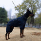 Dog Coat 4 Legs Covered Windproof Waterproof Dog Winter Jacket-Blue