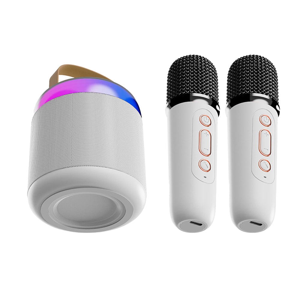 Dual Microphones Portable Mini Karaoke Machine with 2 Wireless Microphones