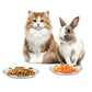 4Pcs Stainless Steel Pet Bowls Durable Shallow Pet Feeding Dishes for Cats Dogs-Silver