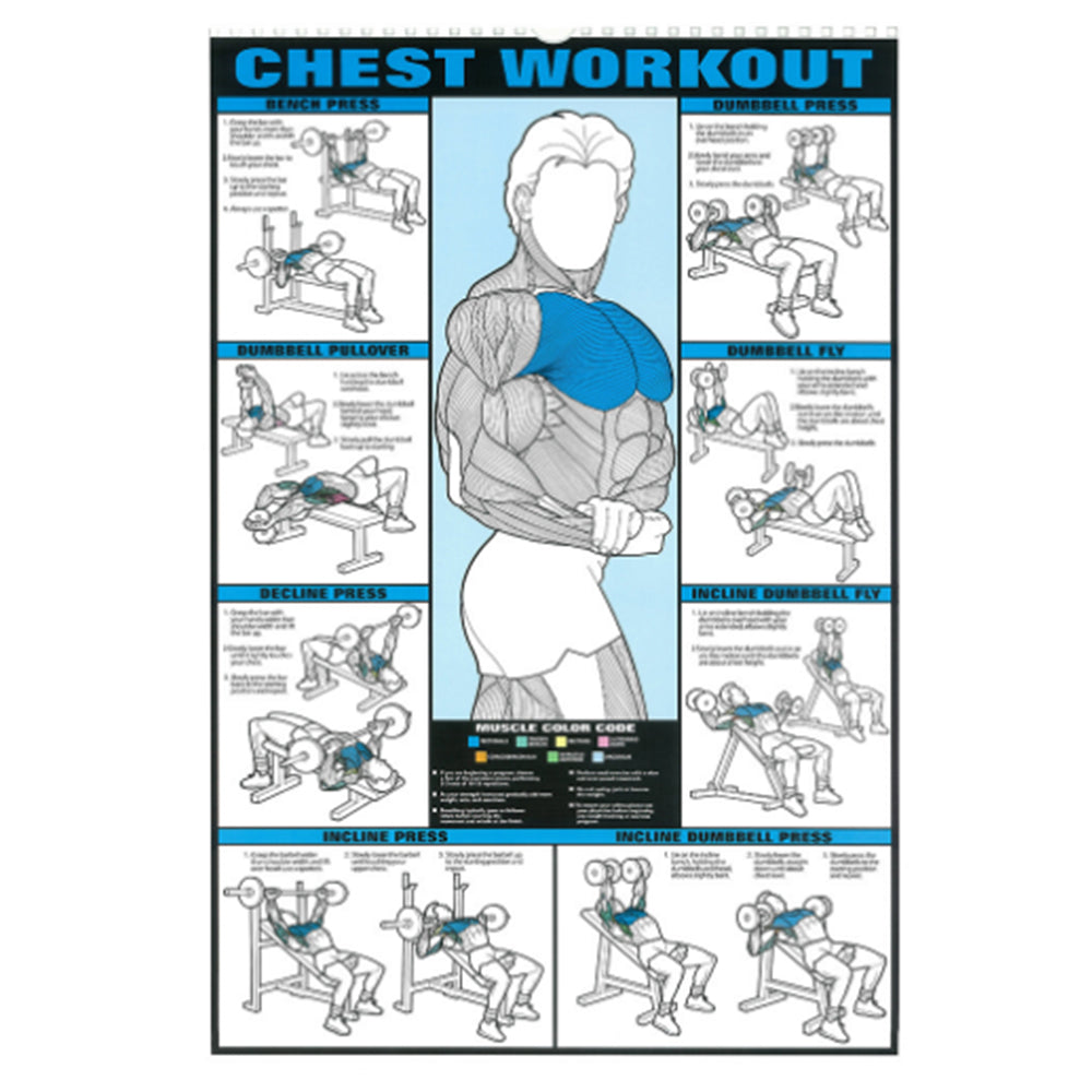 Gym Workout Muscle Poster
