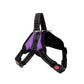No-Pull Pet Dog Harness with Handle Adjustable Padded Vest