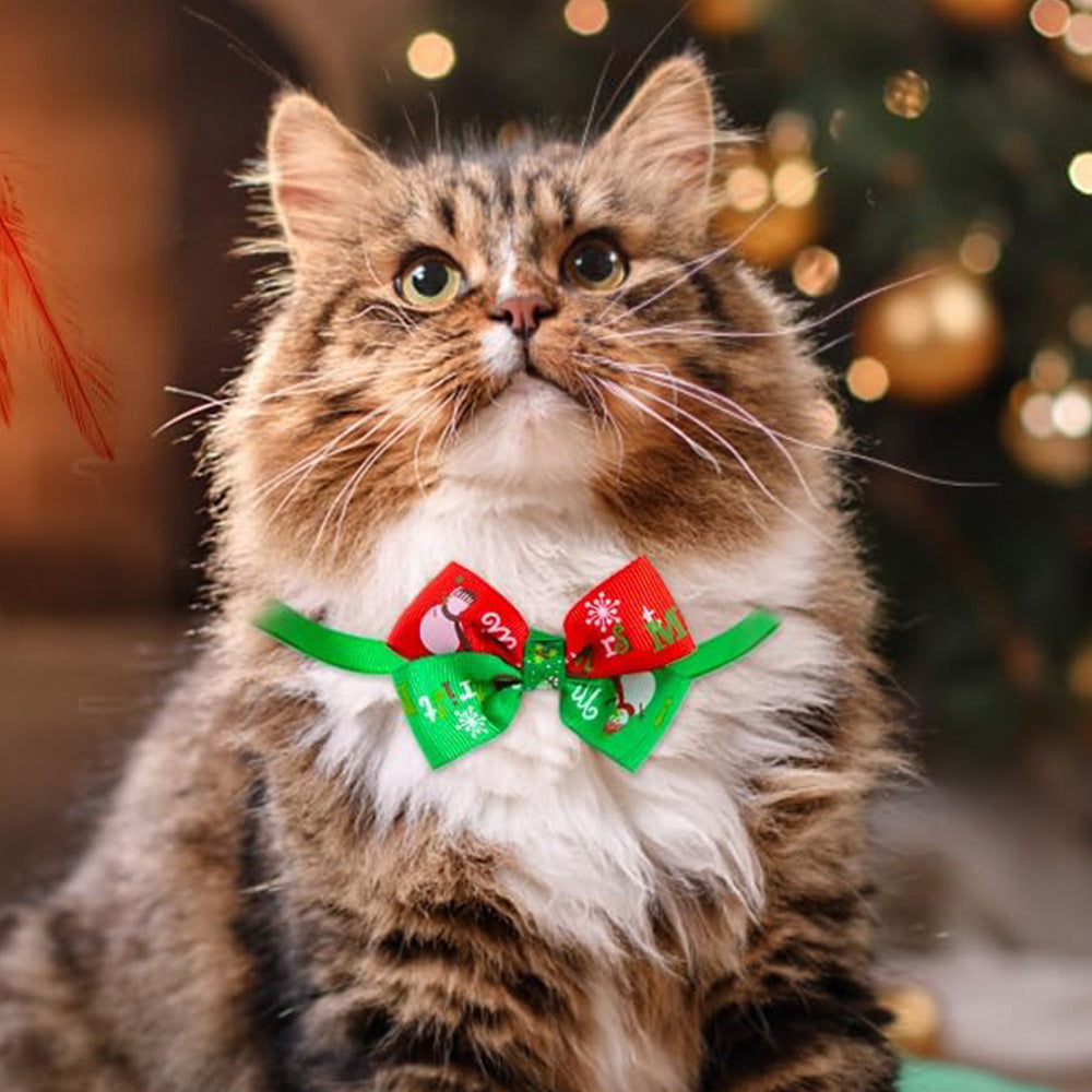 24PCS Cat Christmas Advent Calendar Xmas Gift For Kitten Interactive Toys