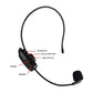2-in-1 Wireless Microphone Headset