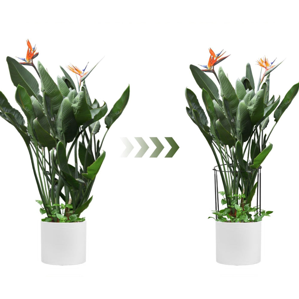 6PCS Plant Supports Stakes Half Round Garden Stakes Plant Support Green Plant Support Ring Border