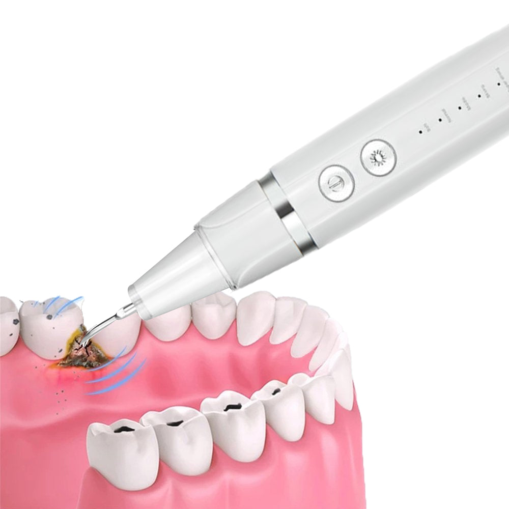 Electric Teeth Cleaning Kit With LED Light