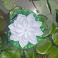 Solar Floating Lotus Light Solar Powered Floating Flower Light