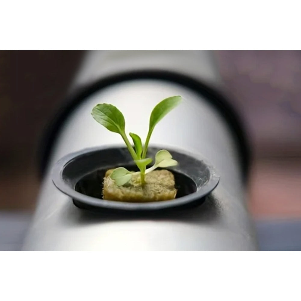 42Pcs Soilless Cultivation Rock Wool Substrate Seedling Grow Cubes Vegetable Planting Cube