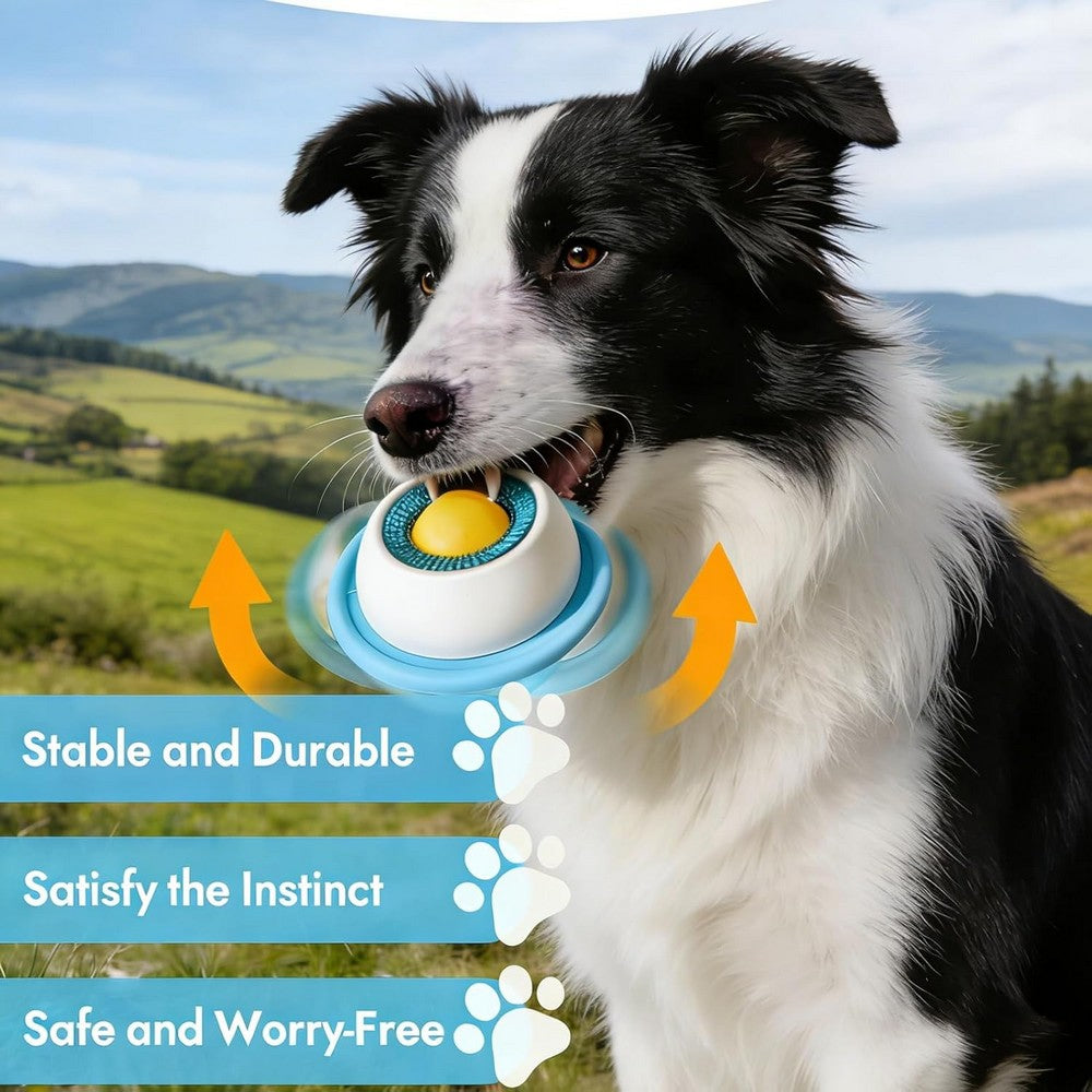 Dog Cat Licking Bowl Slow Feeder Bowls for Yogurt Liquid Treat