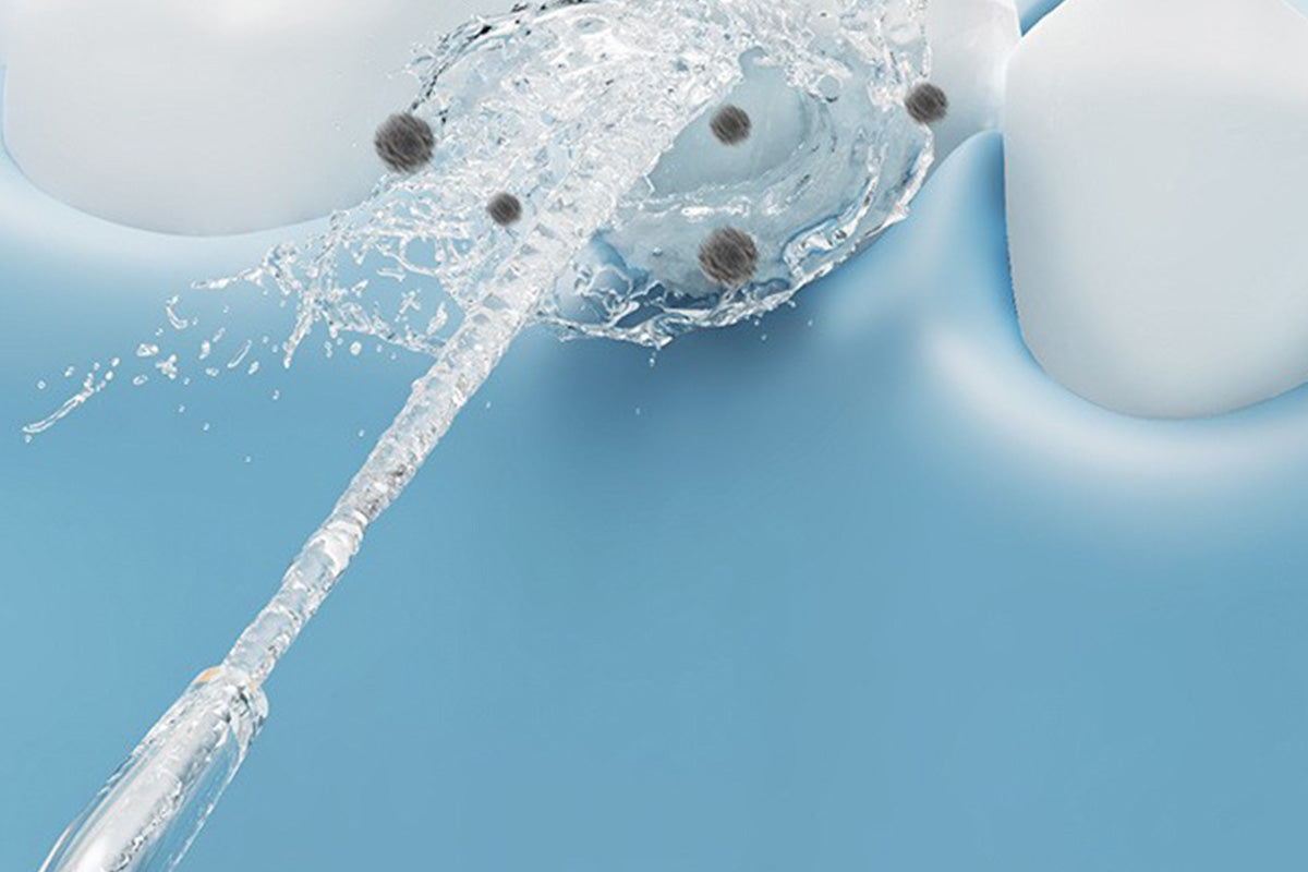 Cordless Water Dental Flosser For Teeth Electric Teeth Cleaner With 4 Replaceable Jet Tips