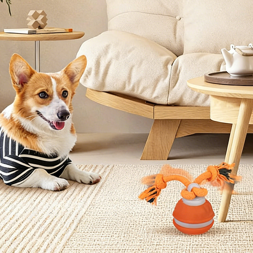 Motion Activated Interactive Dog Ball Toy