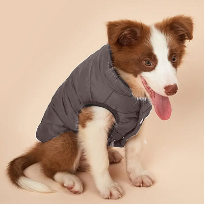 Pet Winter Warm Coat