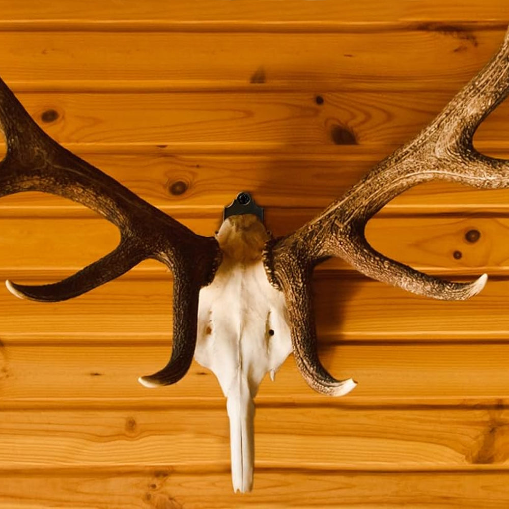 6Pcs Skull Hanger Skull Wall Mount Bracket Hangers Kit Deer Hanger