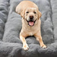 Comfortable Dog Bed Mat Cat Bed Mat Pets Bed Mat