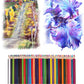Pre Sharpened Colored Pencil Set for Drawing Coloring and Blending