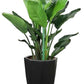 5Pcs Stackable Plant Support Stakes for Indoor Outdoor Climbing Potted Plants