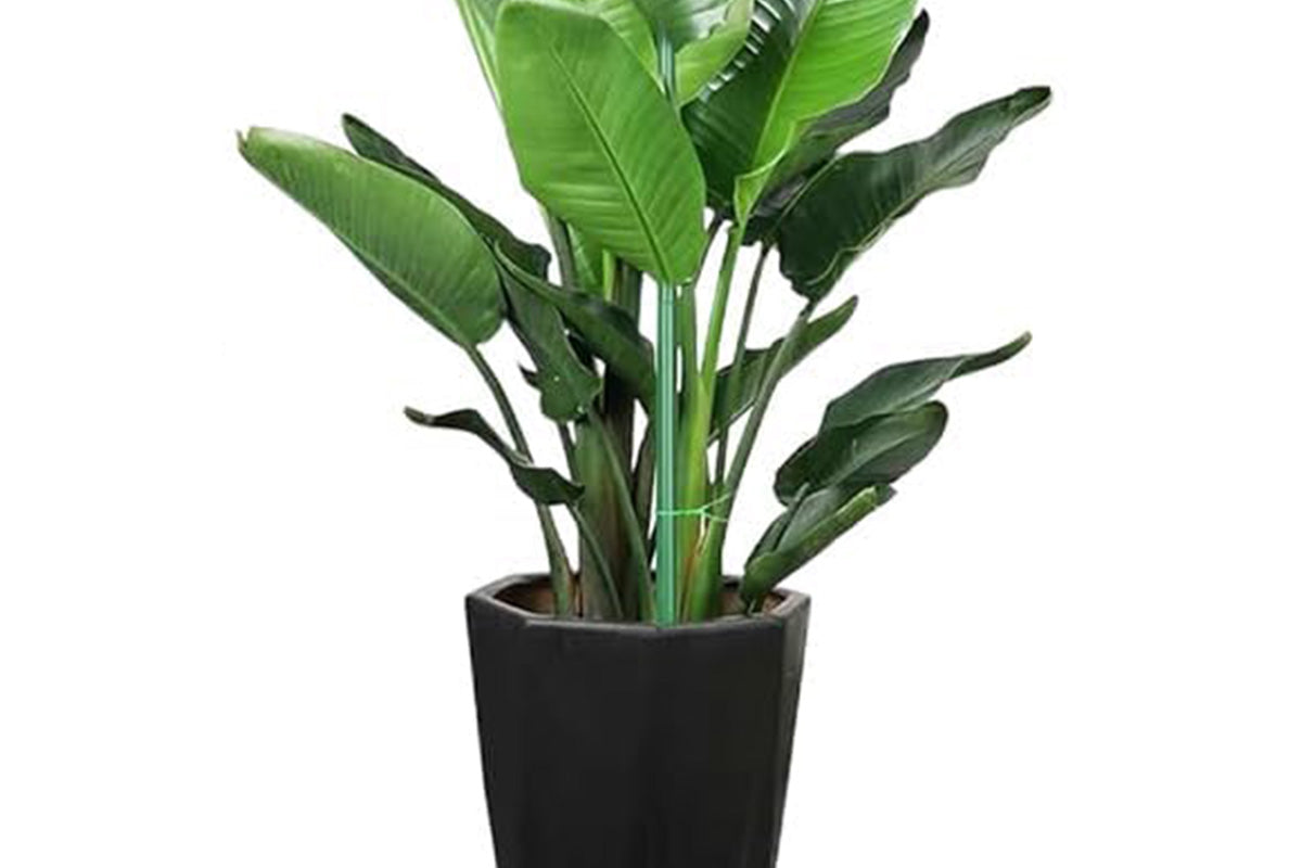 5Pcs Stackable Plant Support Stakes for Indoor Outdoor Climbing Potted Plants