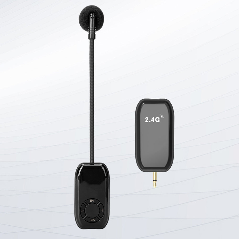 2.4G Wireless Microphone Headset Mic And Handheld 2 In 1 Voice Amplifier