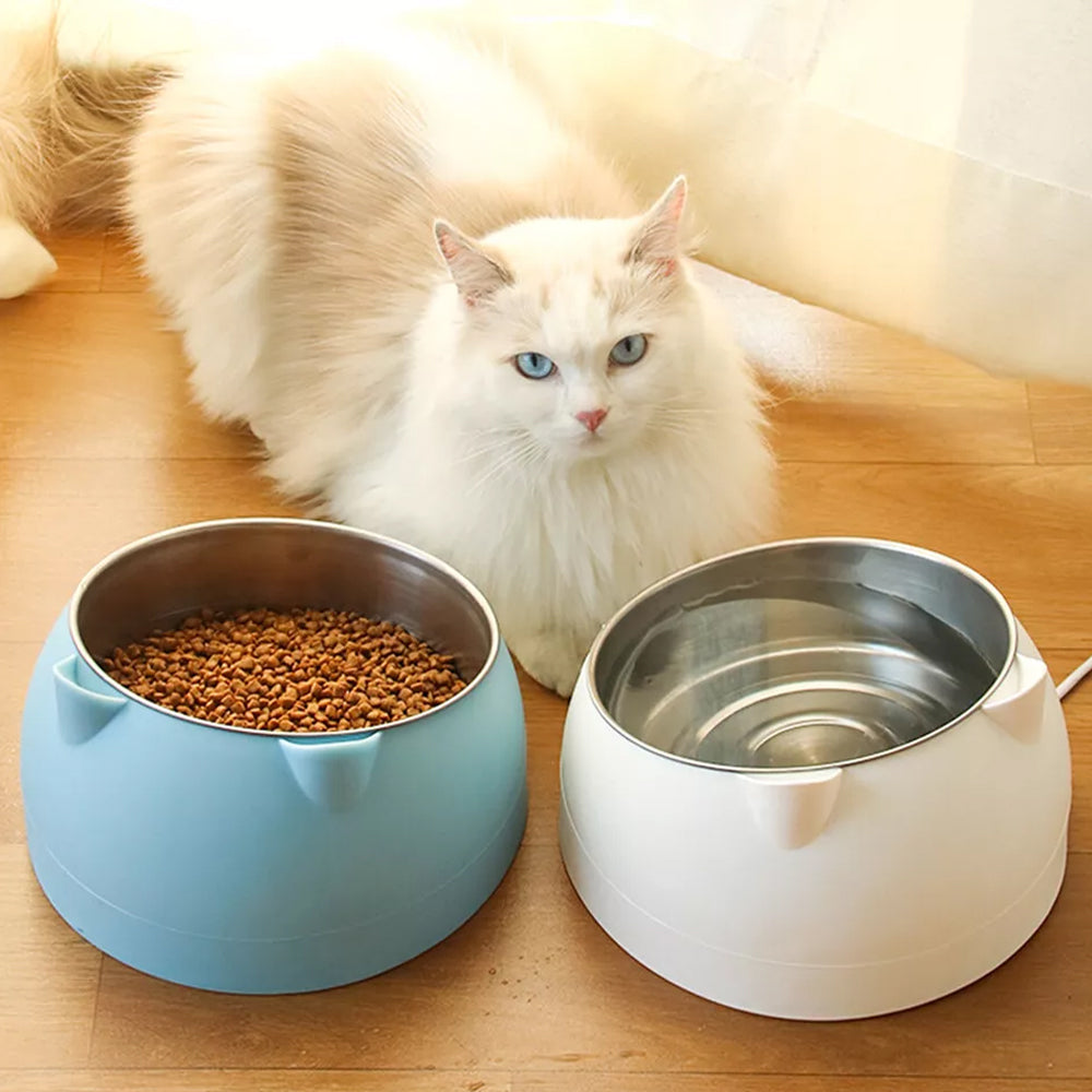 Slanted Stainless Steel Pet Feeder Bowl