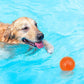 6Pcs Squeaky Dog Toy Balls Floating Dogs Pool Balls Interactive Fetch Toys for Puppy