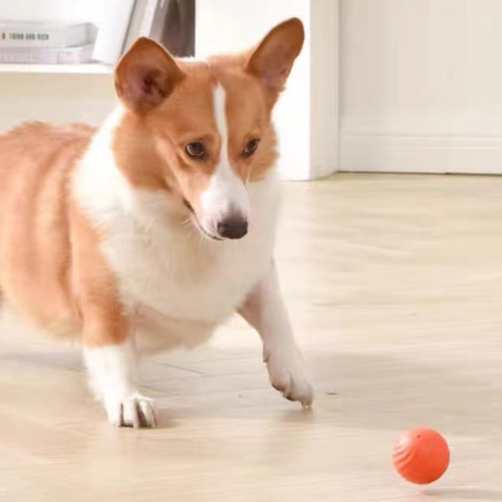 Interactive 56mm Smart Dog Toy Ball Automatic Moving USB Rechargeable Pet Ball