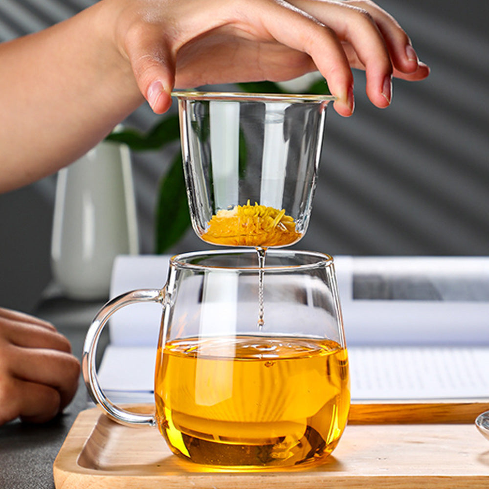 Glass Tea Cup with Infuser and Lid Borosilicate Tea Mug for Loose Leaf Tea