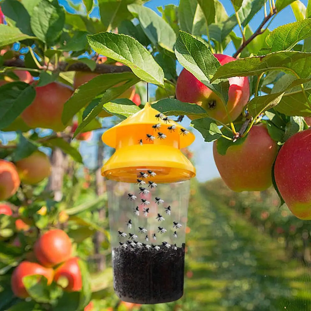 Reusable Fruit Fly Trap Catcher for Outdoor Camping Yard