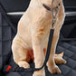 Dog Car Back Seat Cover Non-Slip Reat Seat Protector for Pets