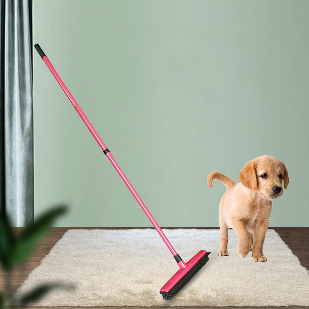 Rubber Broom For Pet Dog Cat Hair Sweeper Squeegee Windows Car Long Handle