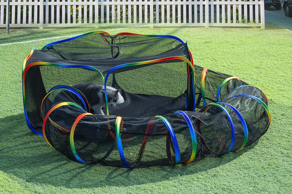 Outdoor Rainbow Cat Enclosures Playground Circle Cat Playpen Tunnel Catio Outside House For Cats
