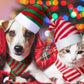 6-Pieces Pet Cat Dog Christmas Hat with Scarf Pet Christmas Costume Outfit Set