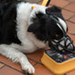 Adjustable Pet Dog Anti Bark Mesh Mask
