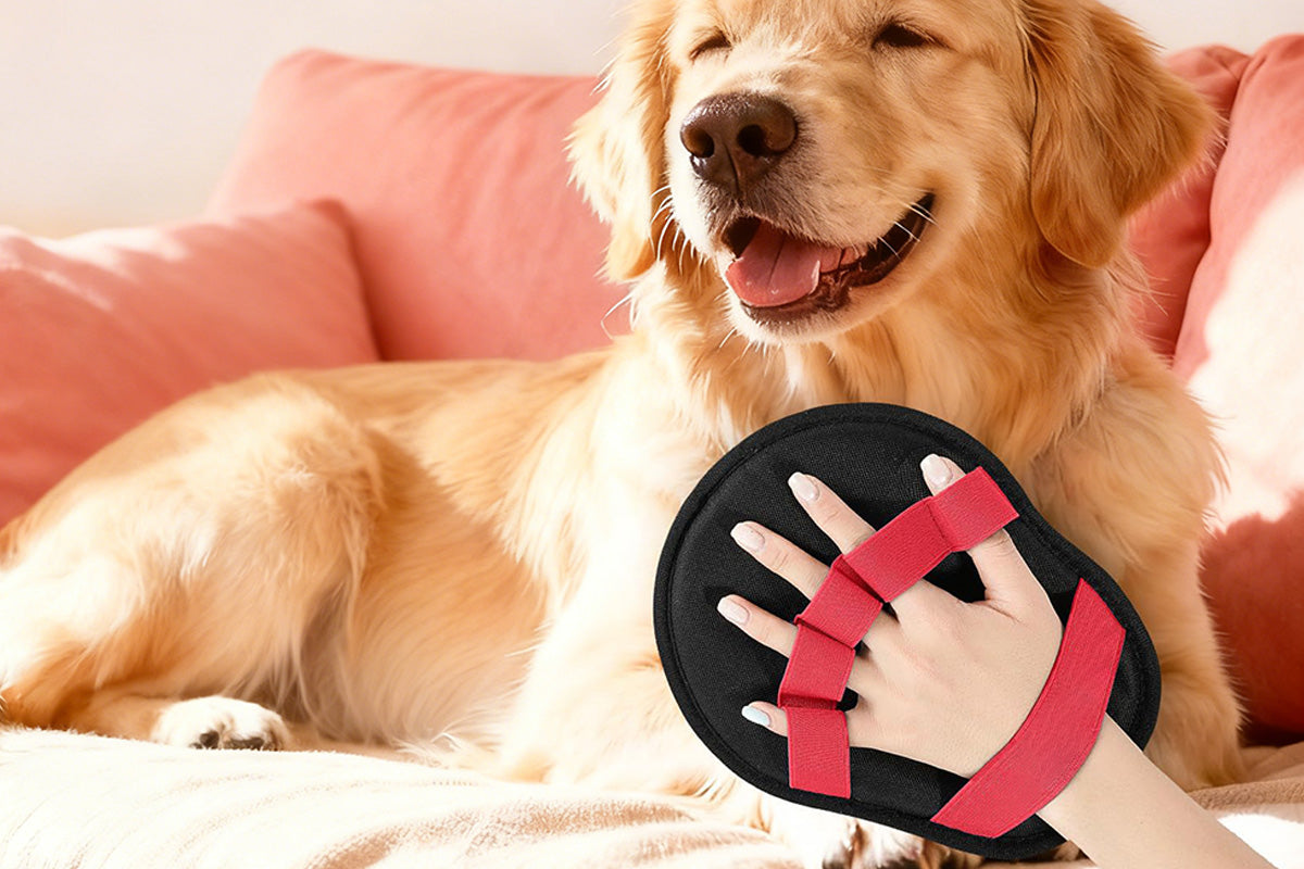 Five Finger Pet Hair Removal Glove Reusable Electrostatic Grooming Mitt for Cats and Dogs
