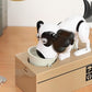 Robotic Eating Dog Coin Bank Electric Coin Bank for Little Ones