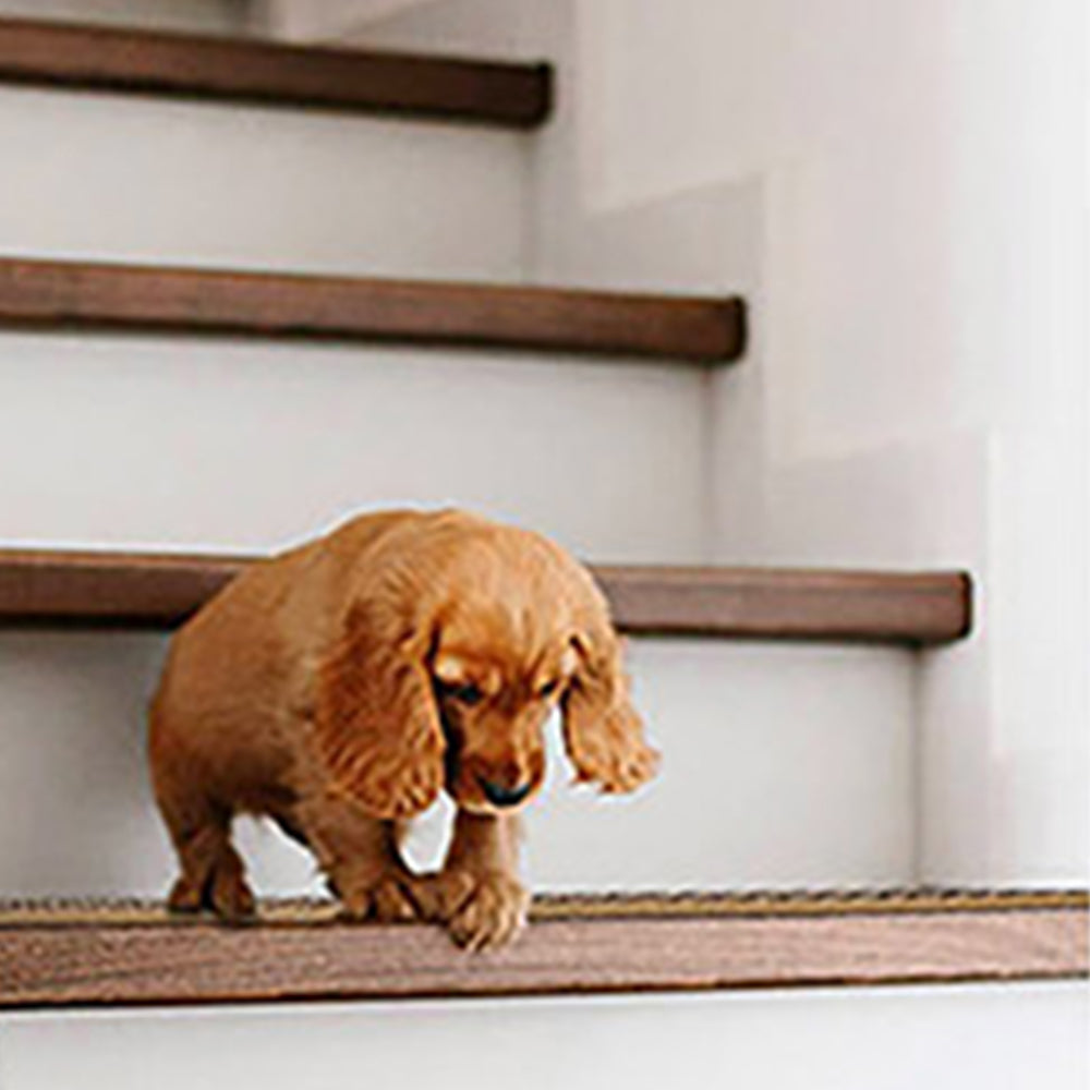 5Pcs Non Slip Tape Stair Tread Self Adhesive Stair Carpet for Indoor Steps