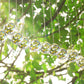10Pcs Clear Crystal Pendants Crystal Glass Chandelier Prism for Curtain Lamp Garden