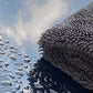 Microfiber Car Drying Towels Water Absorbing Cloth for Auto Home Office