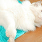 Cat Self Grooming Mat Itching Mat Self Massage Pad for Floor