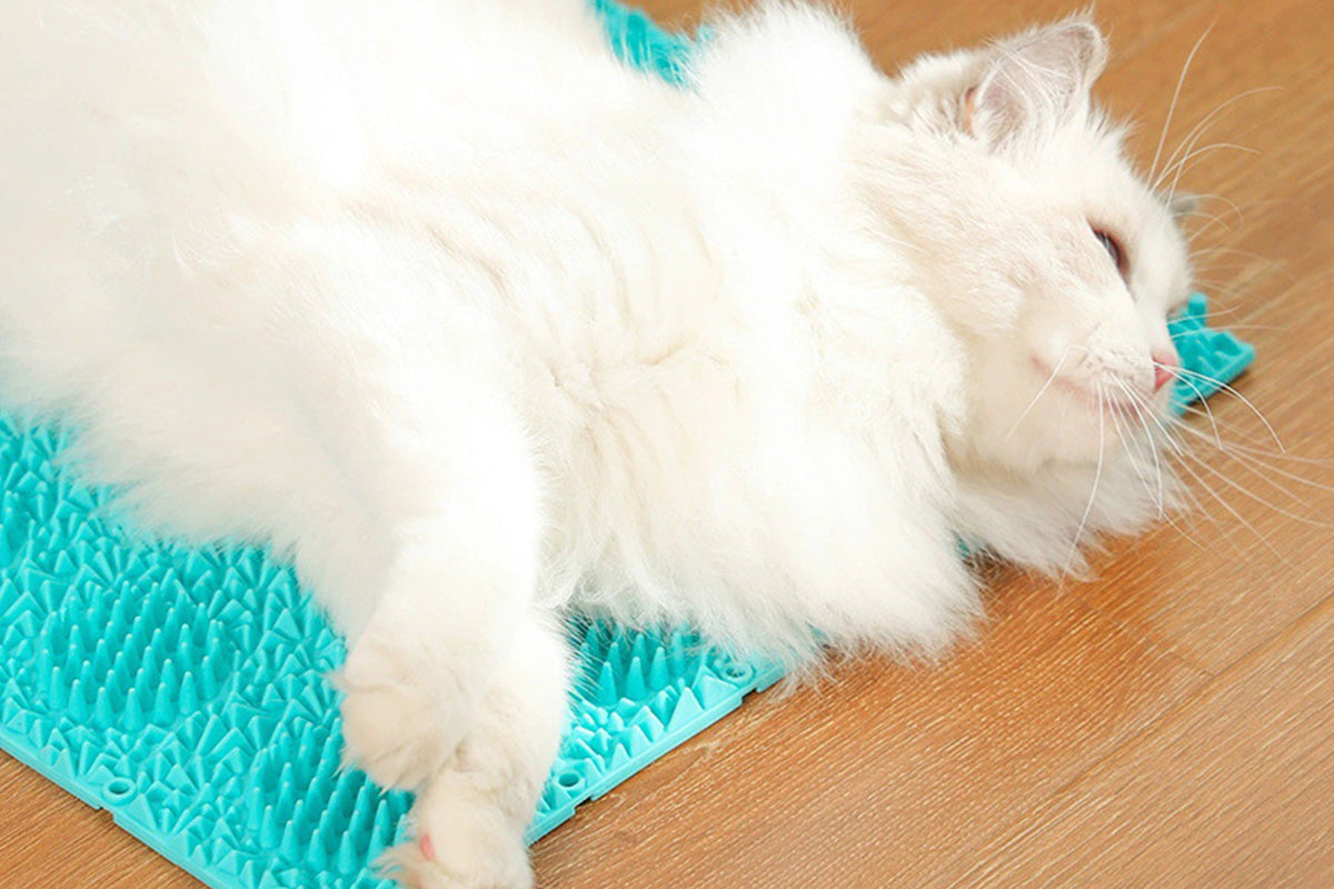 Cat Self Grooming Mat Itching Mat Self Massage Pad for Floor