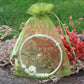 50PCS Fruit Protection Bags Green Fruit Nets Drawstring Mesh Cover Bags For Vegetable Protection