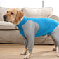 Dog Recovery Suit Abdominal Wound Surgical Clothes Anti-Licking after Surgery