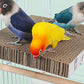 Parrot Toys Bird Perch Stand Cardboard Anti-bite Hair Grinding Pad Bird Cage Accessories