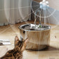 304 Stainless Steel Electric Pet Water Dispenser