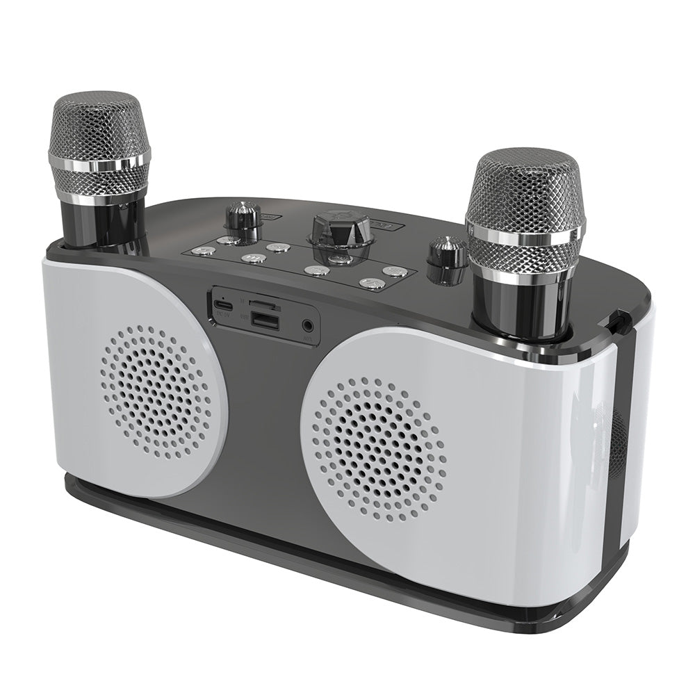 Bluetooth 5.3 Karaoke Machine With 2 Wireless Microphones Bluetooth Karaoke Speaker