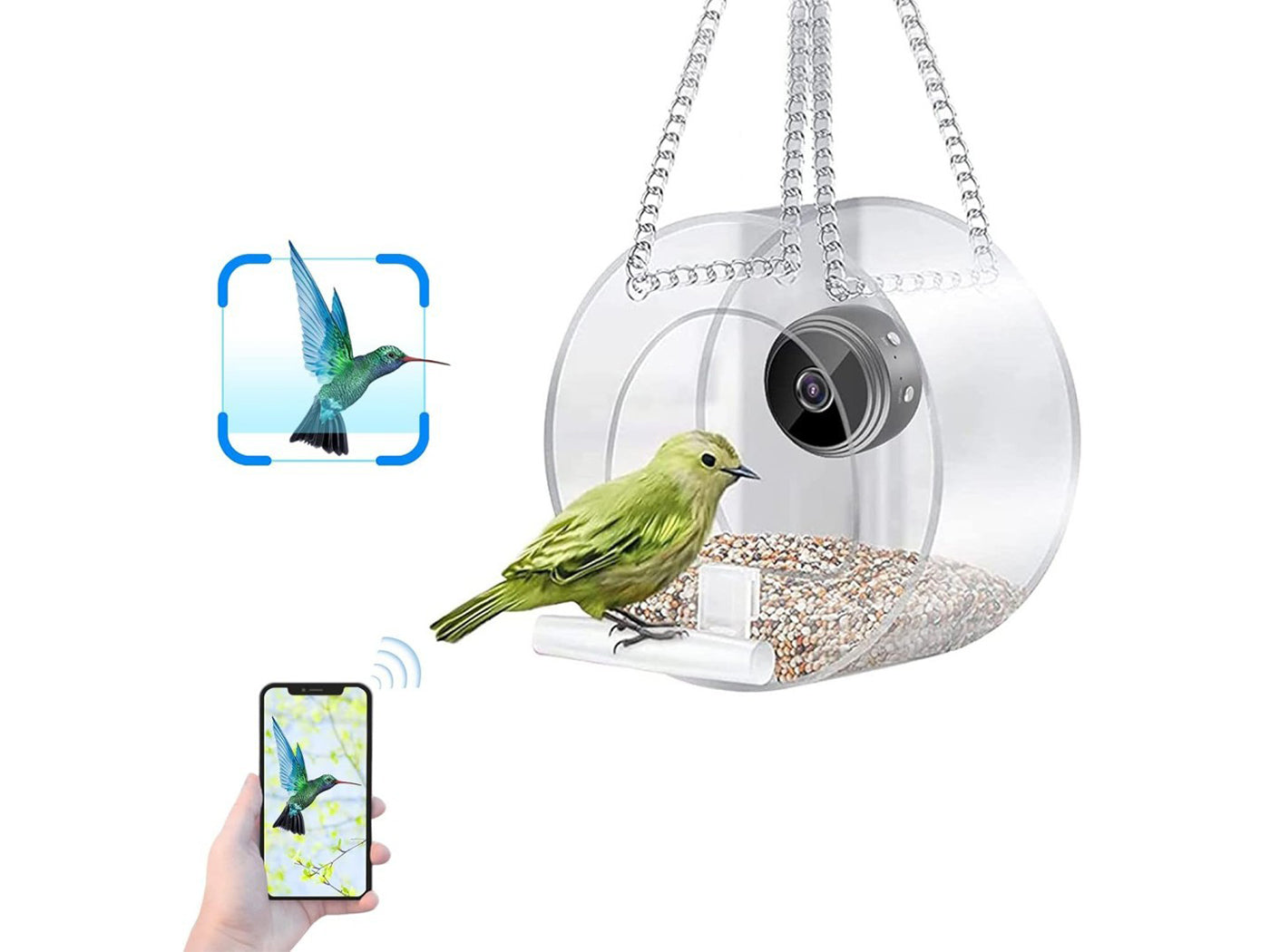 Smart WiFi Bird Feeder with 720P Camera for Real-Time Monitoring