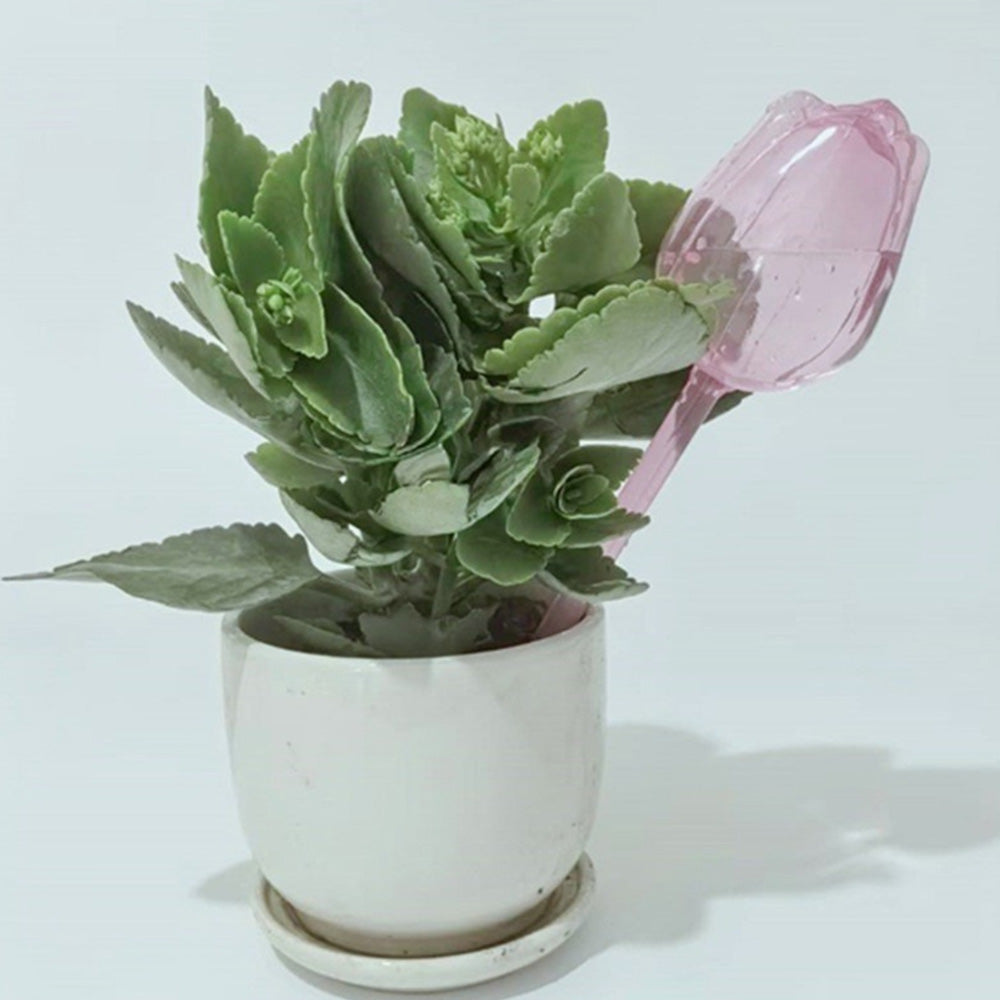4Pcs Tulip Model Plant Watering Globes for Flower Automatic Watering