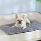 Self-Heating Pet Blanket