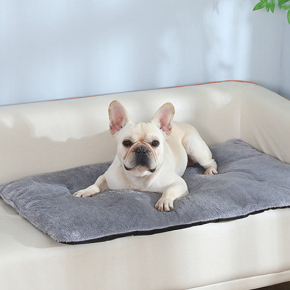 Self-Heating Pet Blanket